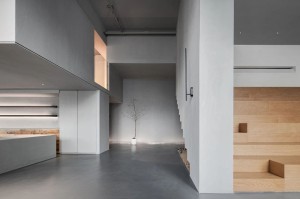 桑拿宠物友好场馆推荐带毛孩子