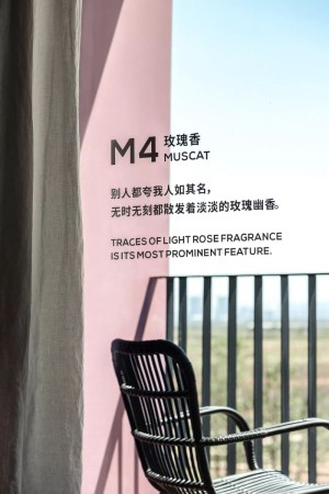 广州桑拿温泉会所