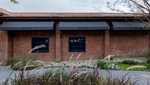 广州白云区一条龙高级桑拿会所