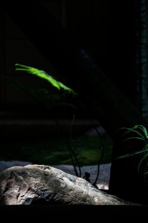 广东广州市白云区桑拿休闲会所