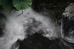 白露桑拿缓解秋燥皮肤养护广州