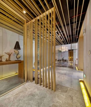 广州店长桑拿管理后解压场馆