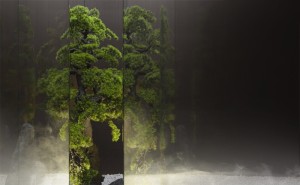 广州桑拿养生会所价格多少钱