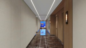 园丁逛广州，桑拿劳作后舒缓