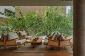 广州夏季宠物降温桑拿环境广州