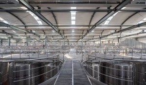 复工后去广州桑拿，收心养生指南