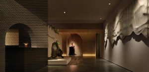 秋季宠物换毛季桑拿环境清洁广州