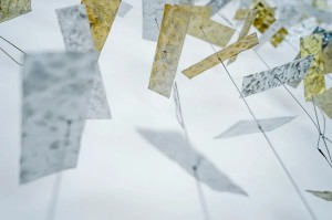 桑拿会员生日优惠价格幅度