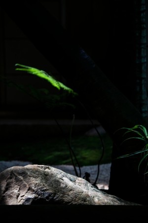 广州夏季暑假桑拿带娃休闲好去处