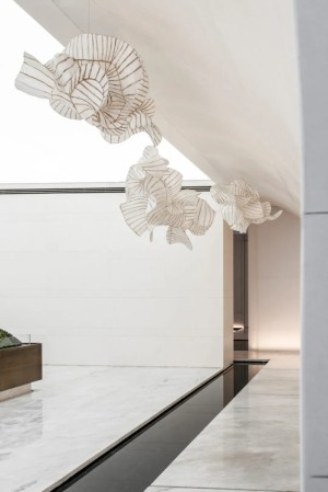 广州冬季宠物保暖桑拿环境